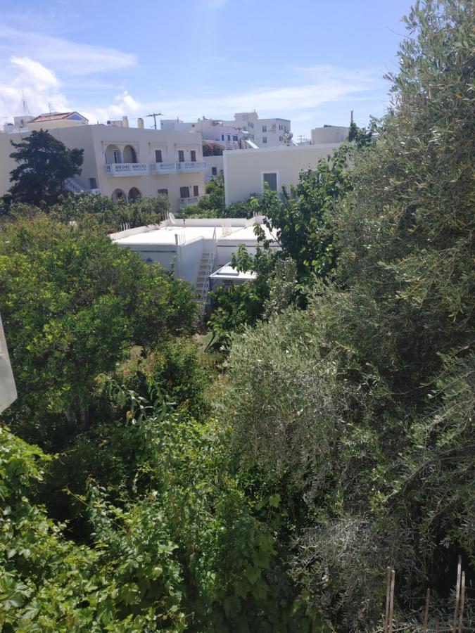 Enalion-Tinos Panzió Kültér fotó